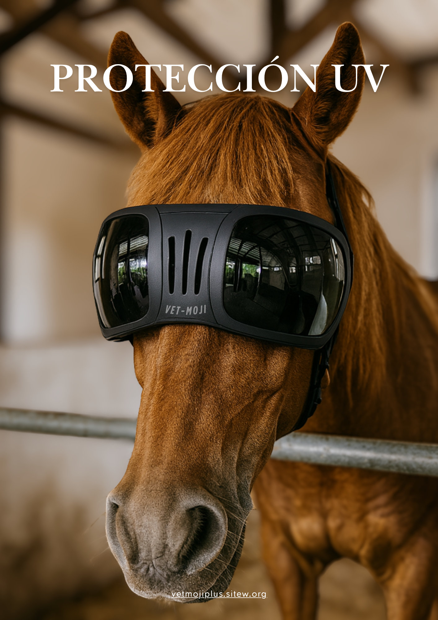 Documento a4 redes sociales marketing plantilla fotos moderno negrita gris 2025 10 04t224229 045