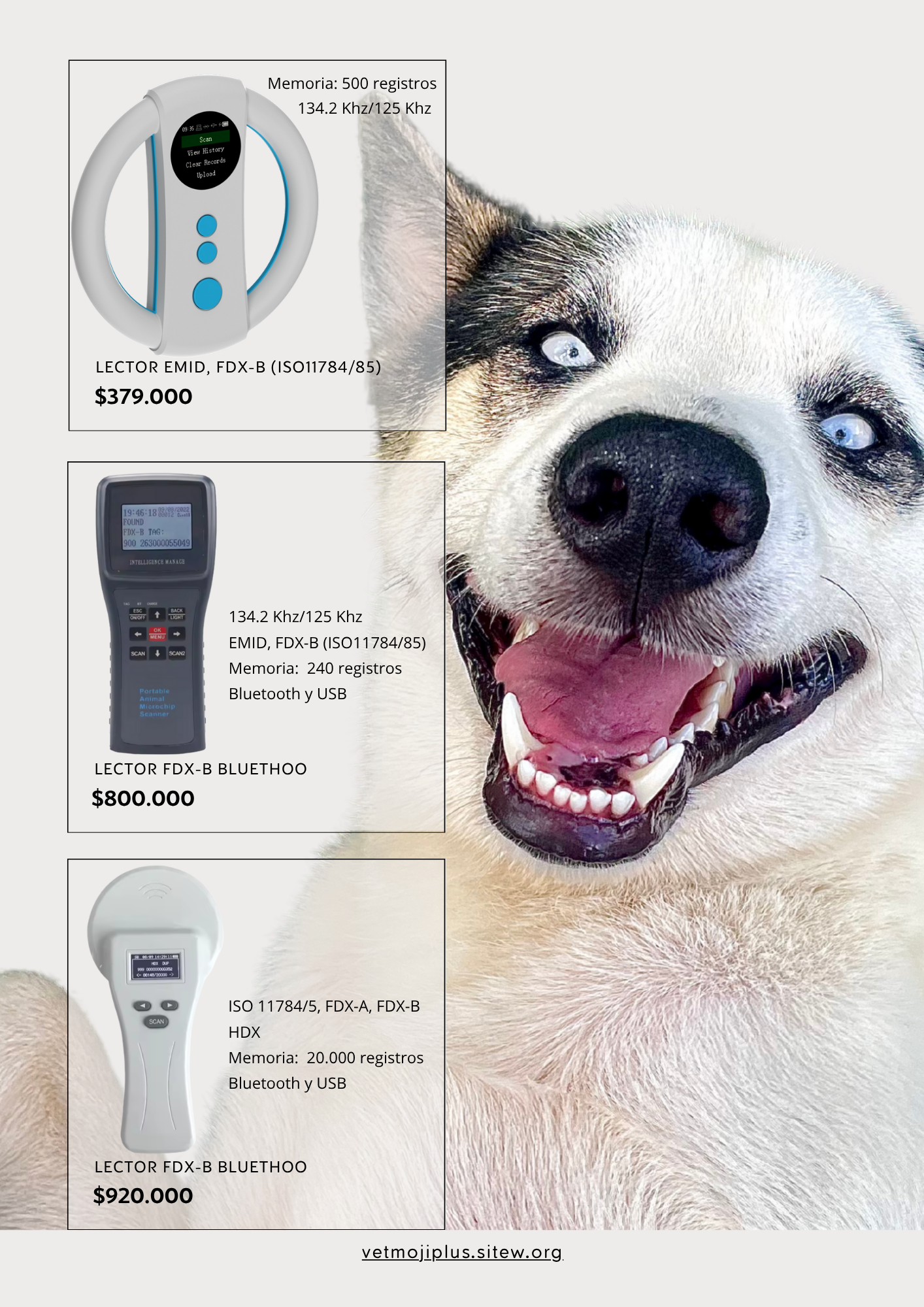 Documento a4 redes sociales marketing plantilla fotos moderno negrita gris 2025 10 04t224119 420