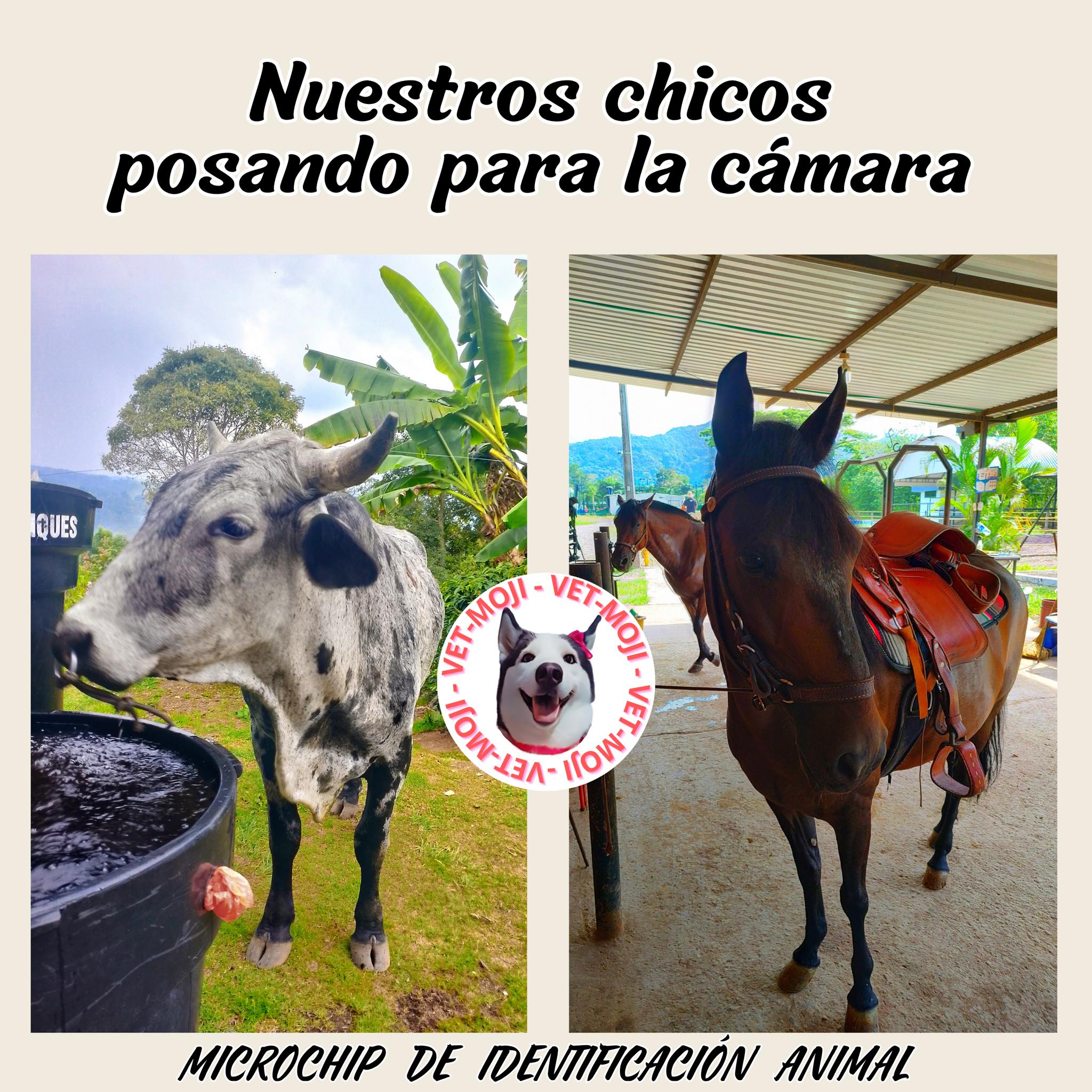 434401269 290430730746129 137008866304185195 n