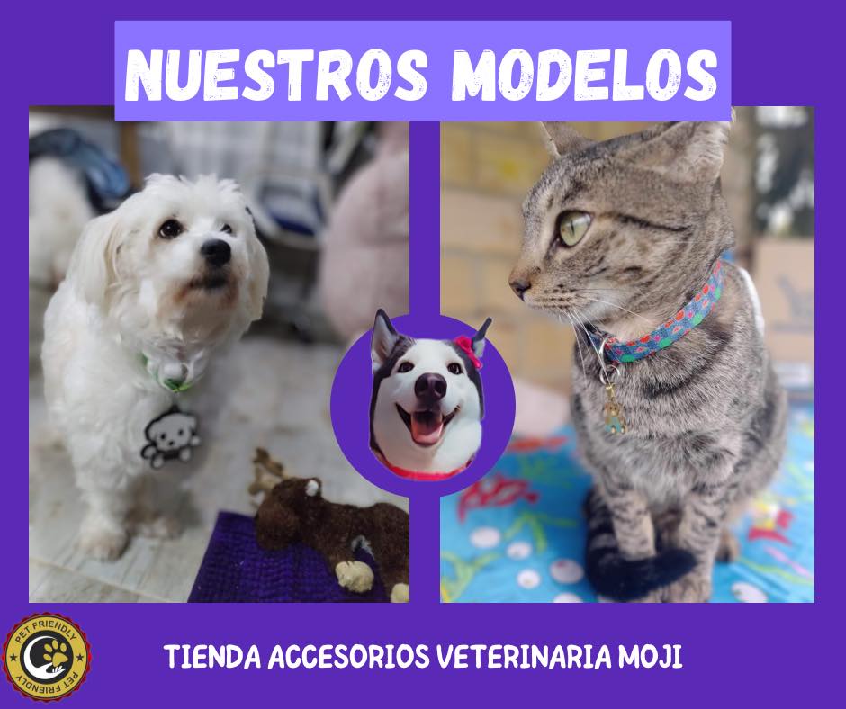 358578150 133005666488637 6350137810637624107 n