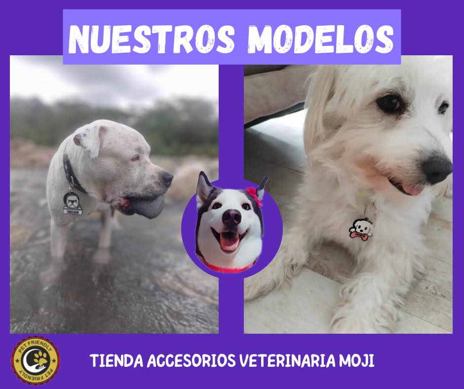 358364306 133005619821975 6243908313634438541 n