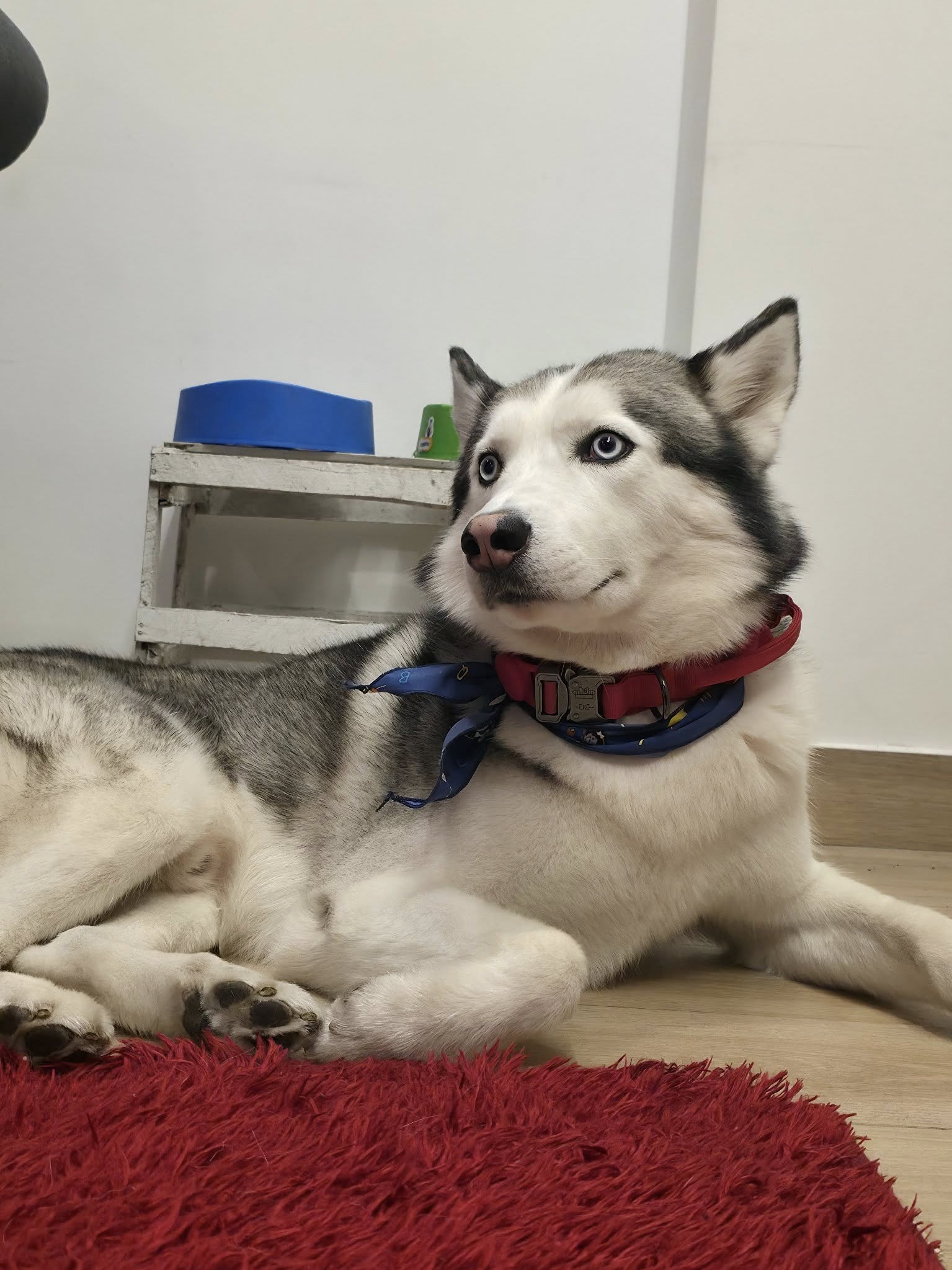 557587631 122132684114939518 6154488203515909638 n