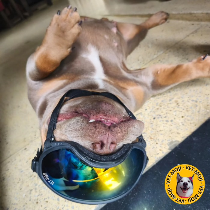 Captura de pantalla 2025 10 05 012409