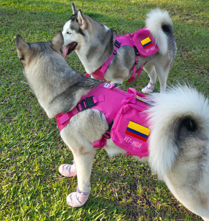 Captura de pantalla 2025 10 05 012646