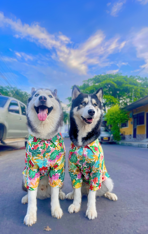 Captura de pantalla 2025 09 15 014236