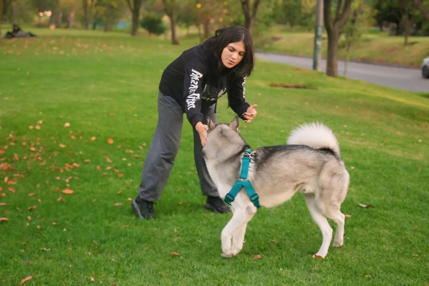 475705753 545603538505354 5586630967063364535 n