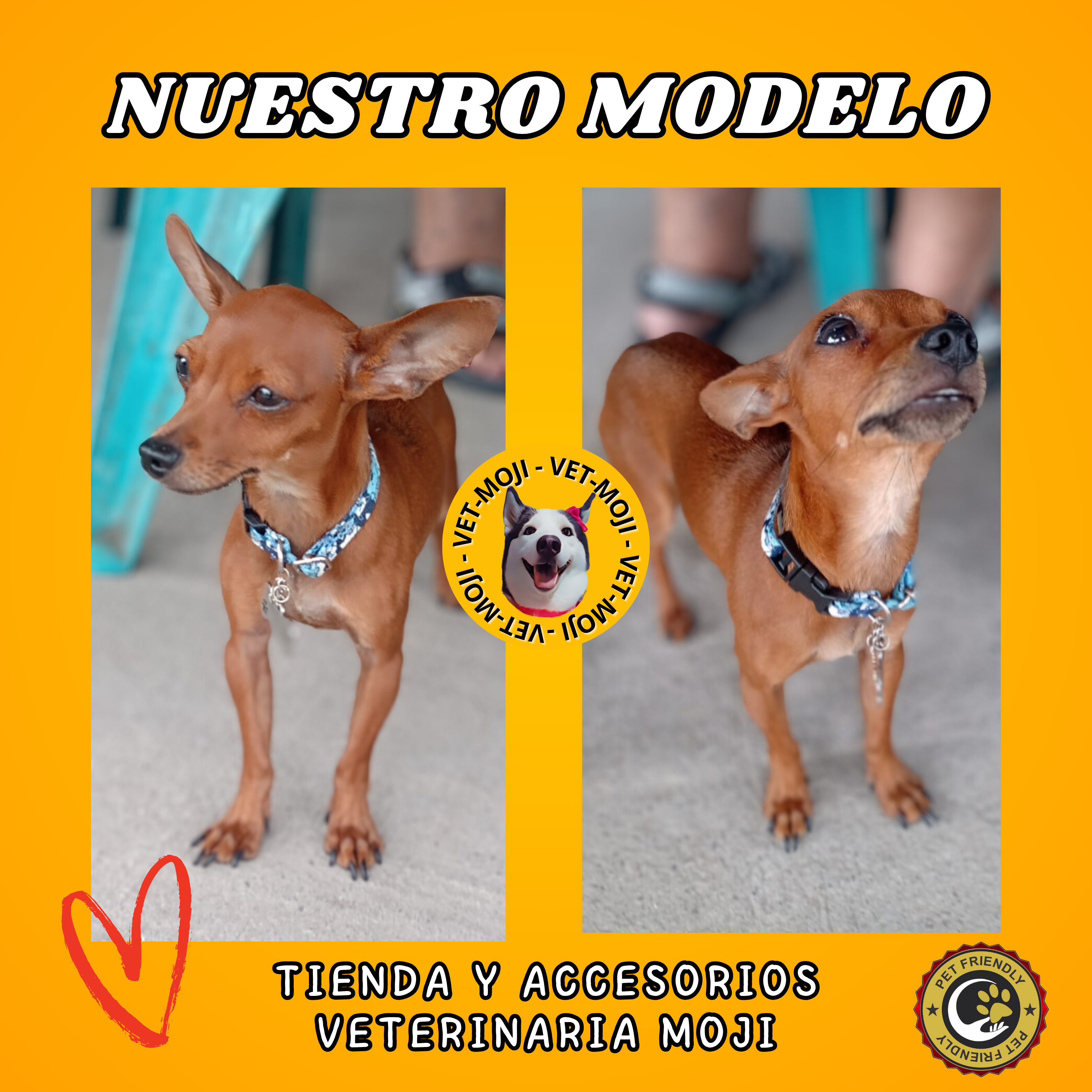 Mas cosa de vetmoji 55 