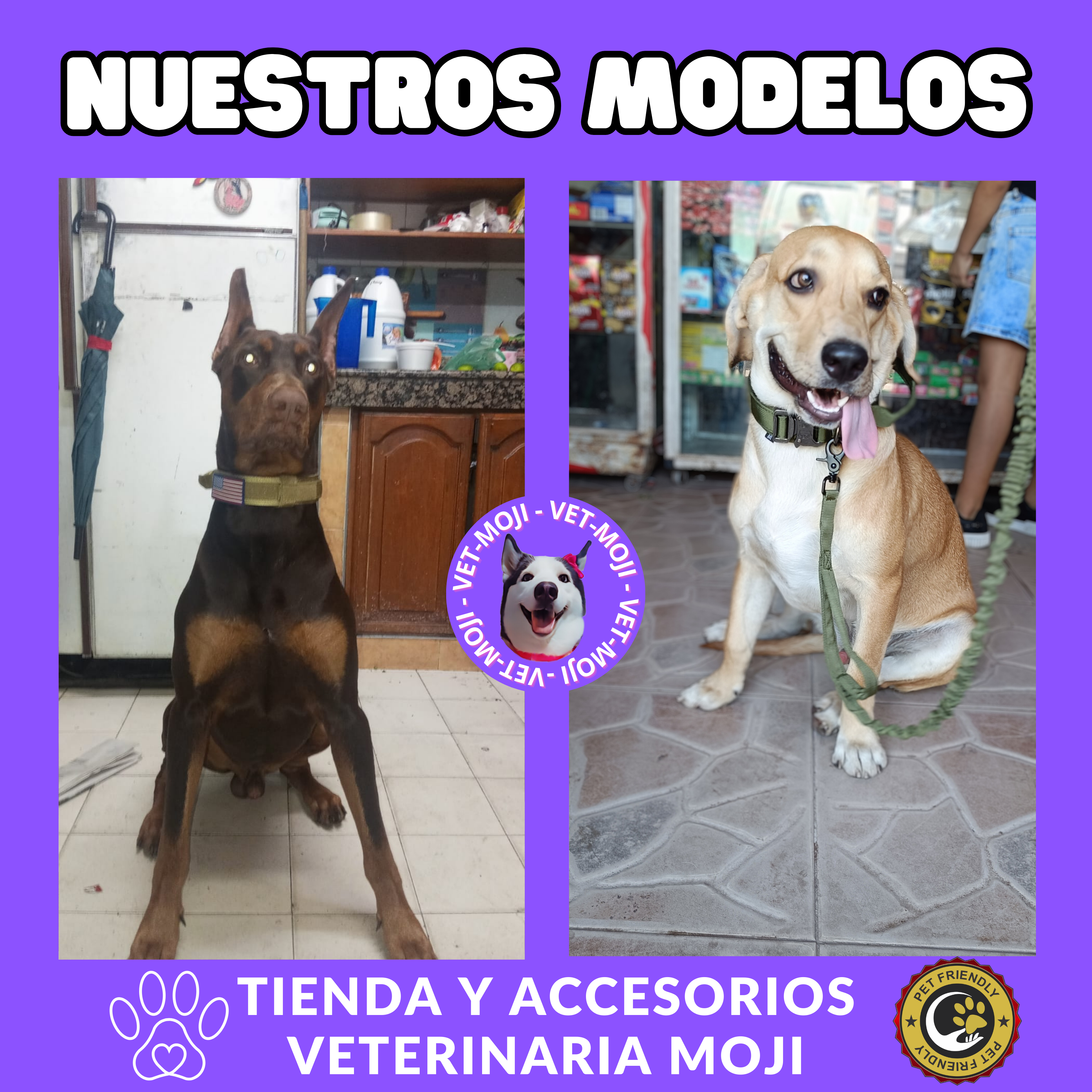 Copia de vet moji 67 