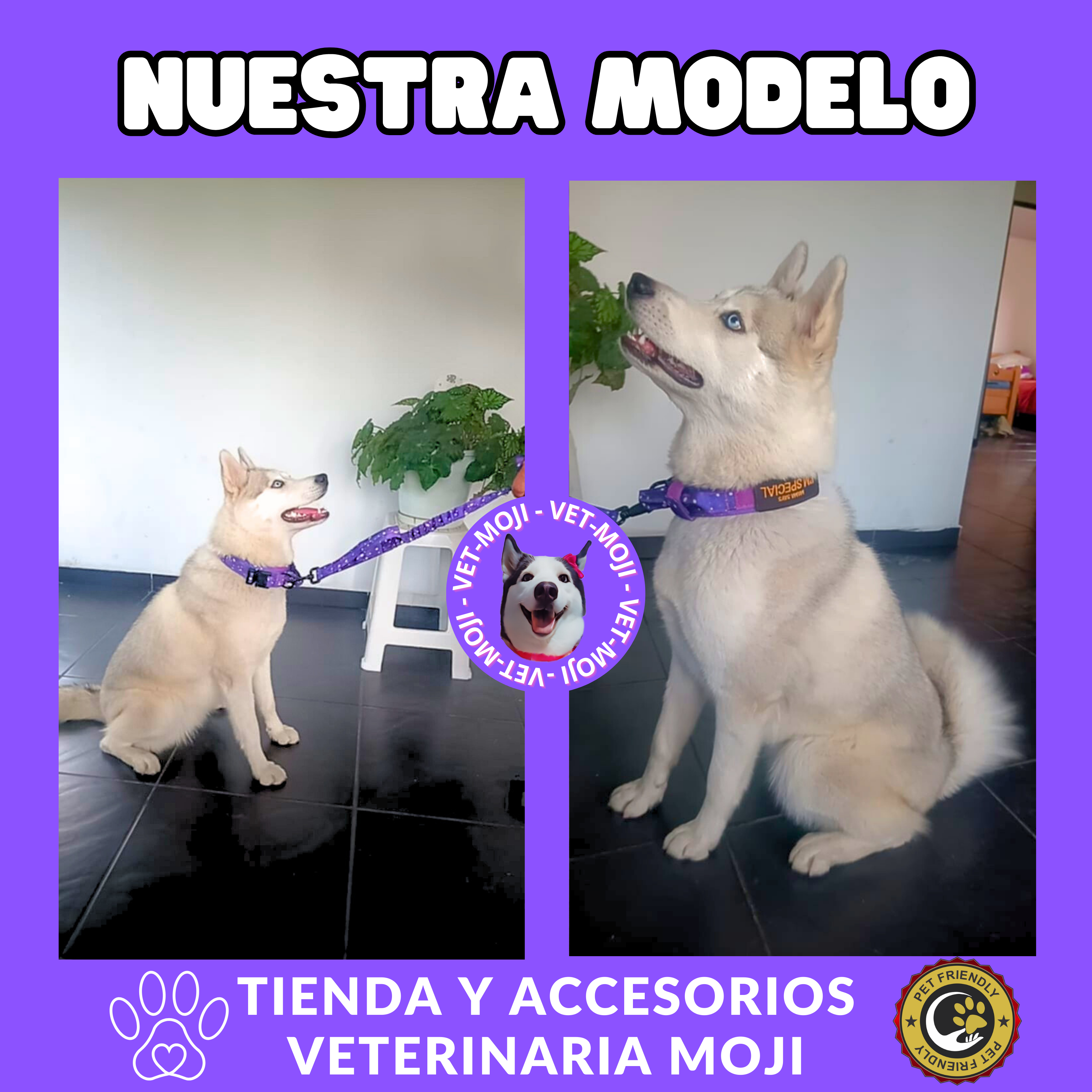 Copia de vet moji 71 
