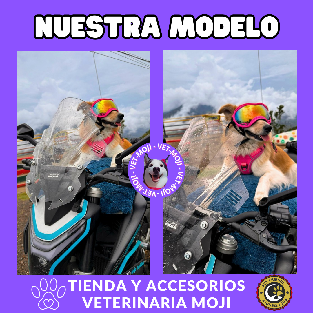 Copia de vet moji 80 