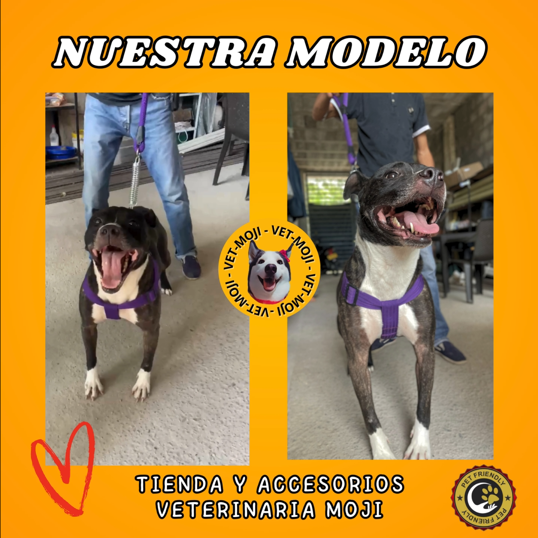 Captura de pantalla 2025 10 05 013832