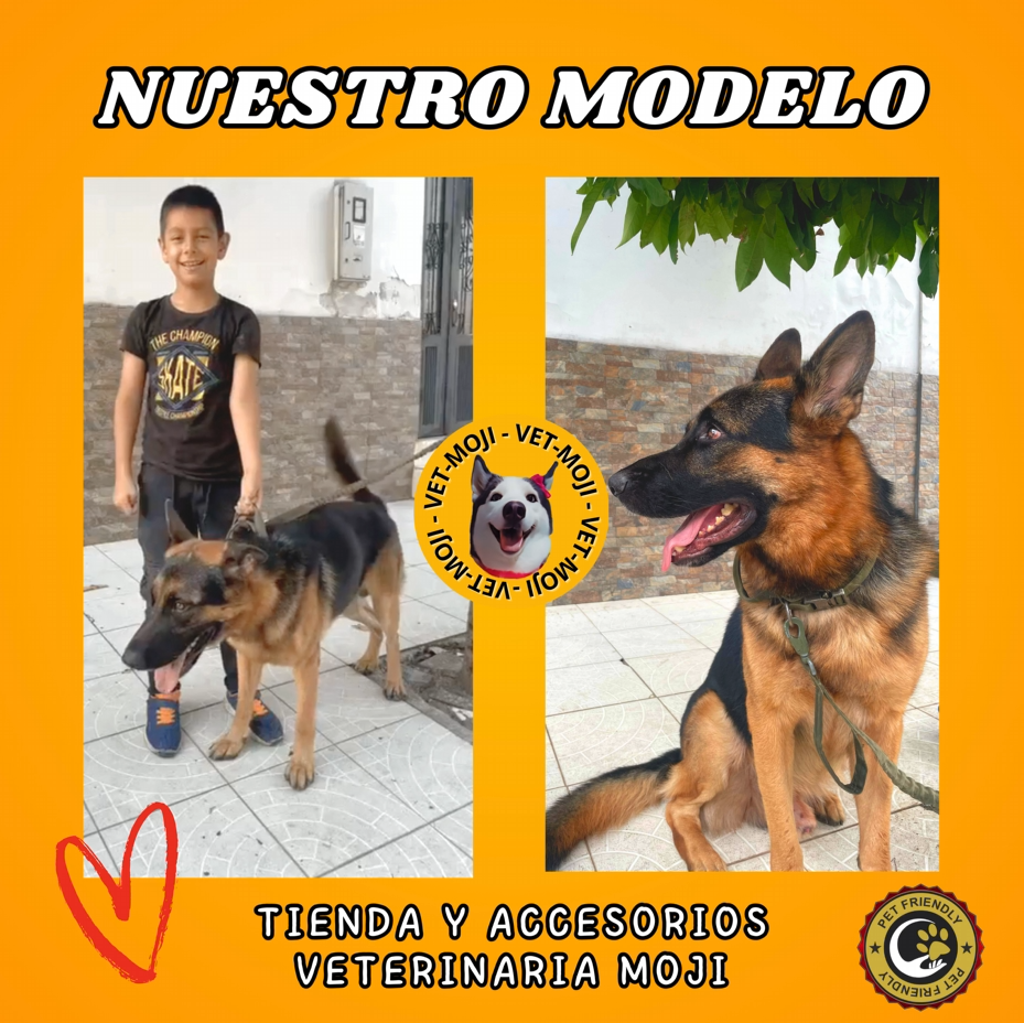 Captura de pantalla 2025 10 05 013902