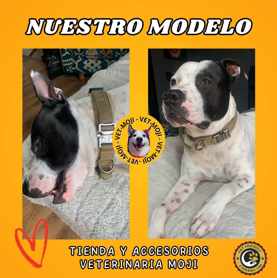 Captura de pantalla 2025 10 05 014044