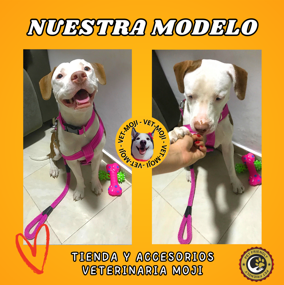 Captura de pantalla 2025 10 05 014054