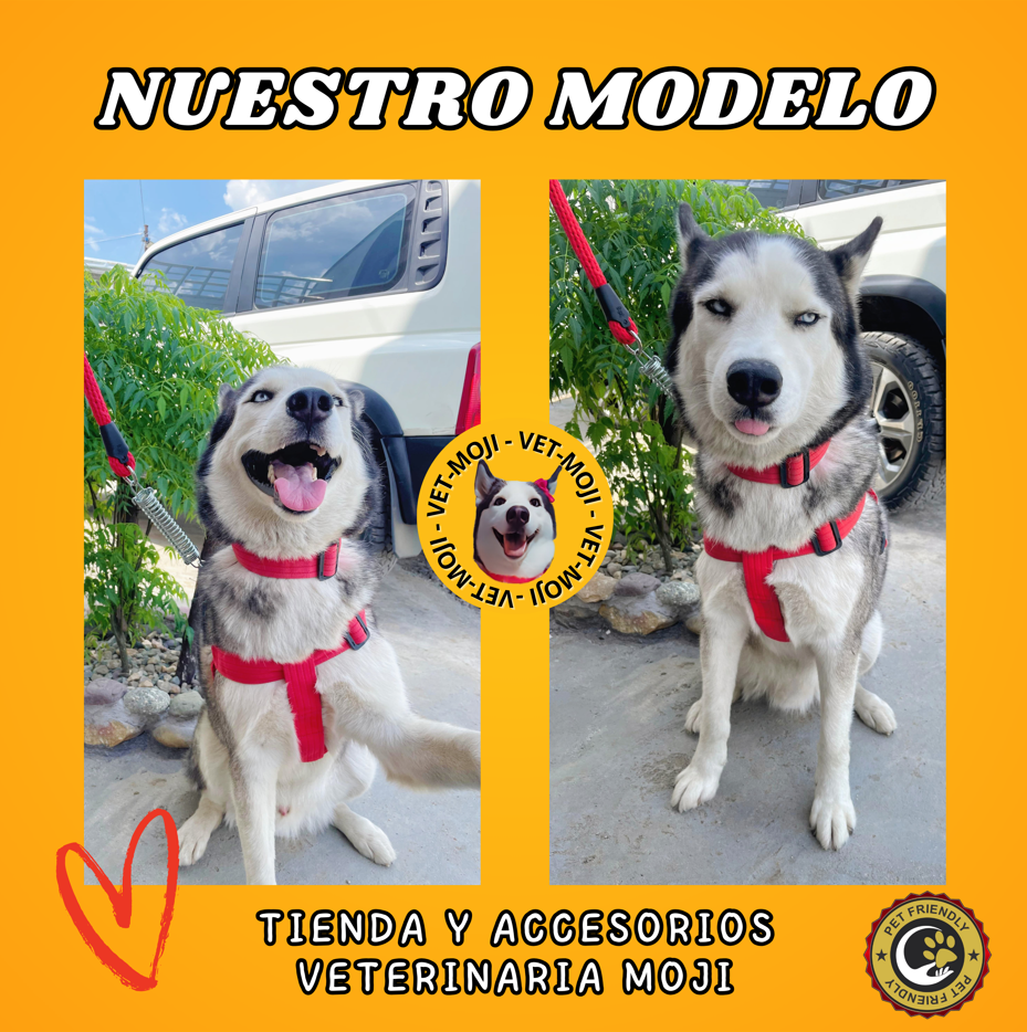 Captura de pantalla 2025 10 05 014117