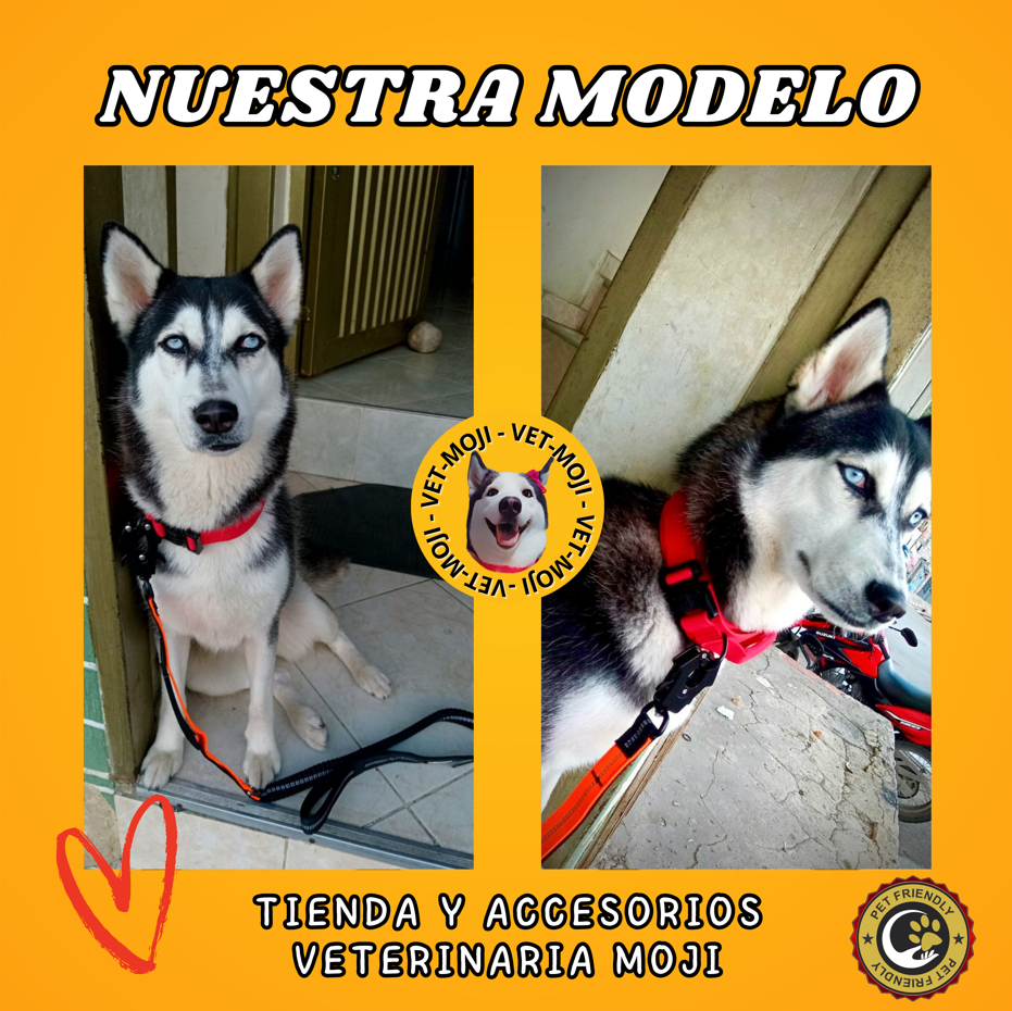 Captura de pantalla 2025 10 05 014127