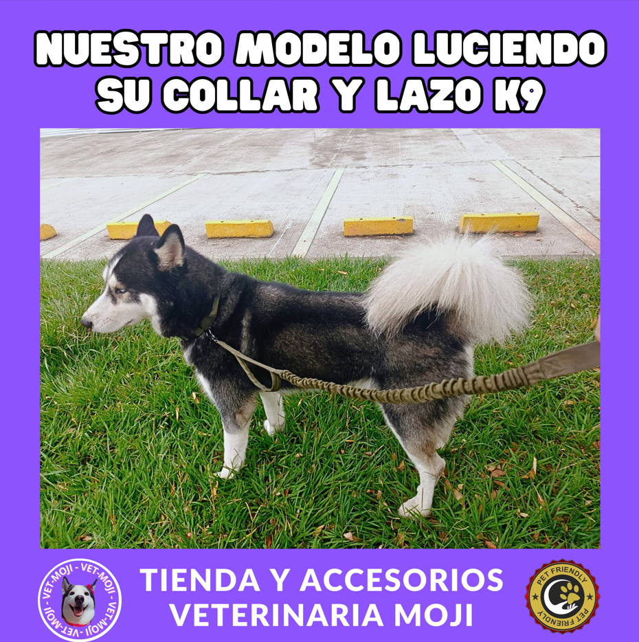 Captura de pantalla 2025 10 05 014649