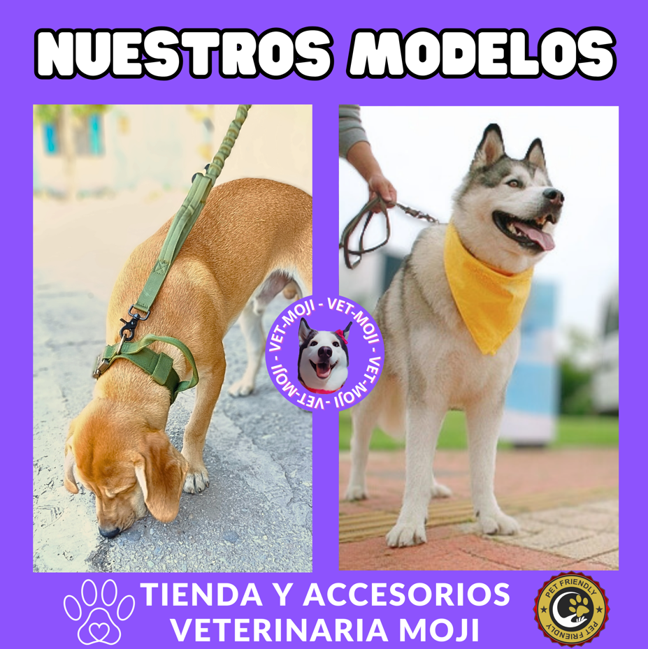 Captura de pantalla 2025 10 05 015007