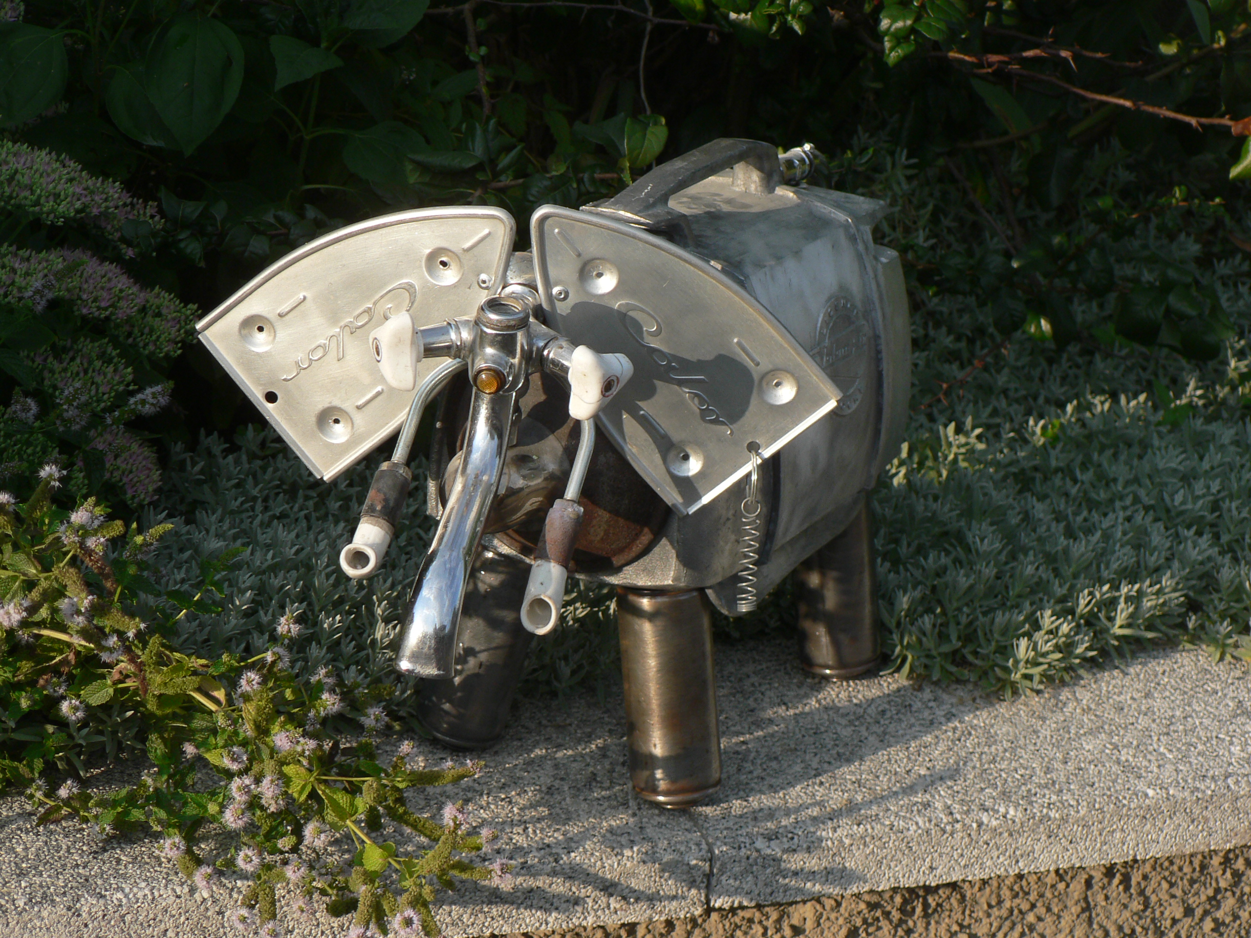 20090817 pachi pacho 001