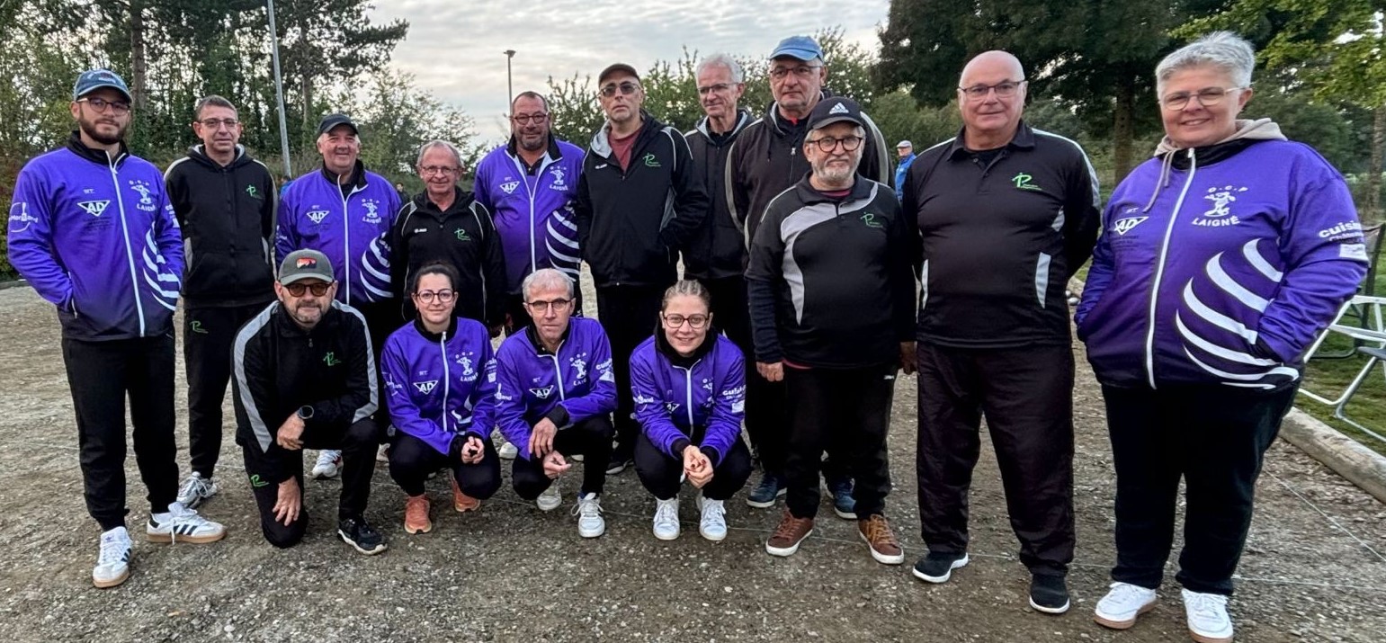 D3c-laigne-1-mayenne-1-22-14