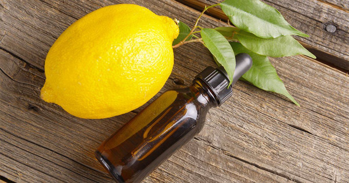 Whatsapp image 2025 10 06 at 14 19 10