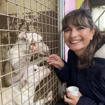 481469826 624779346974837 3206865032714746160 n