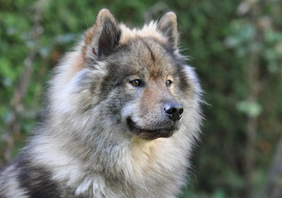 3 contenu 1200x841 px 3 2eb5f7910d h6zzp1upa