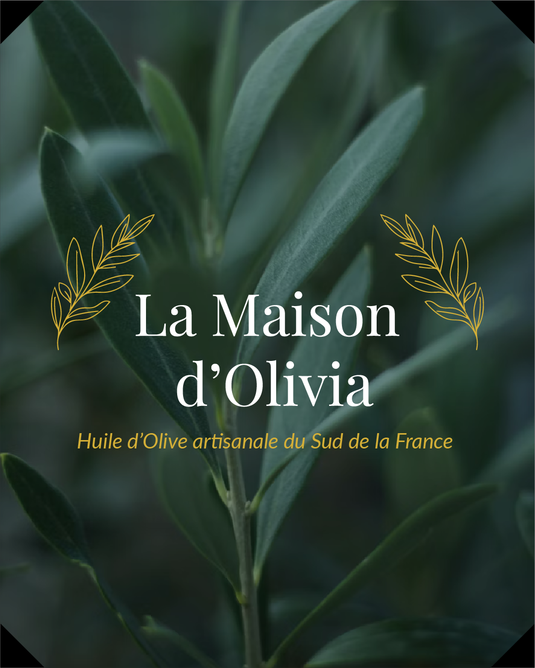 Plan de travail 39 copie 20