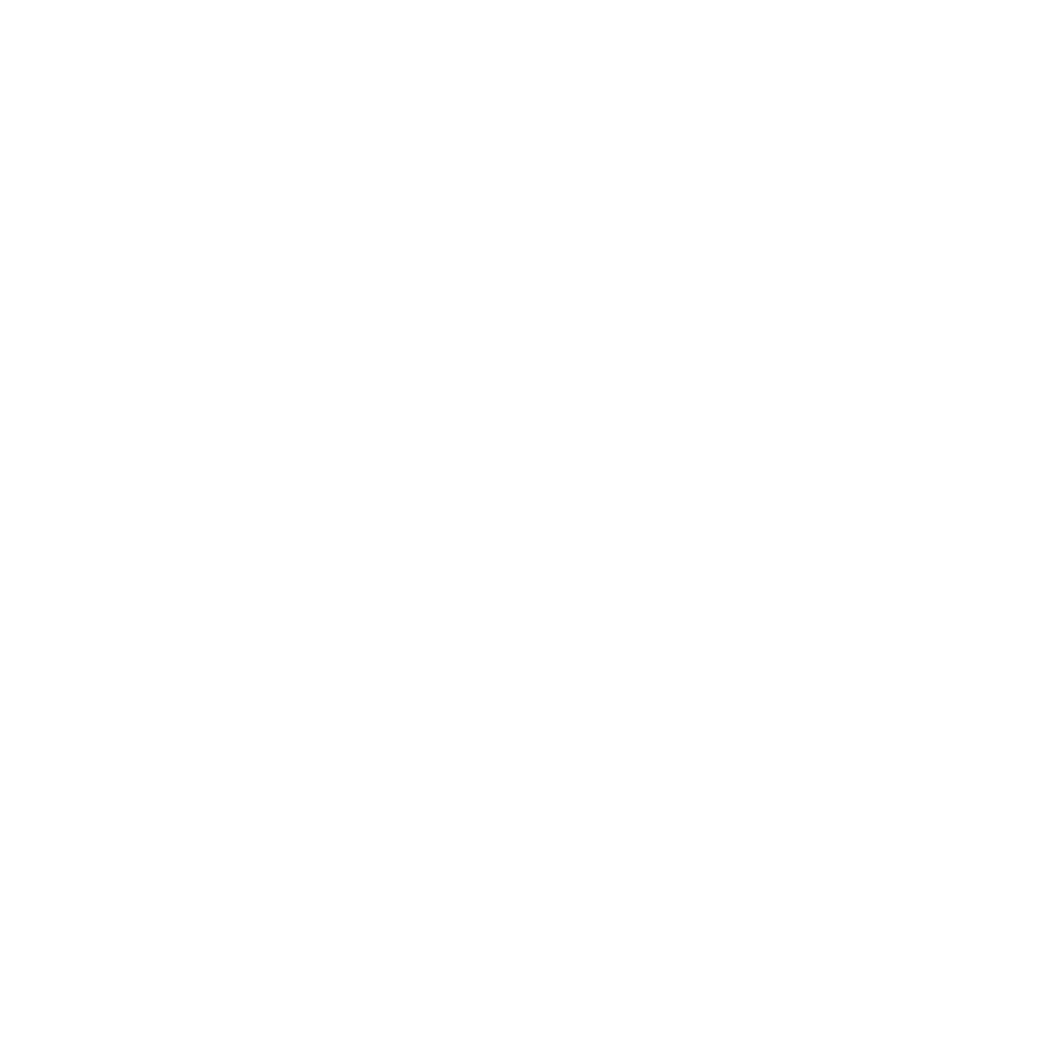 Logo-anao-white-rgb-500x500px