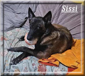 Sissi-Malou-Mr-Muller-Carine-1-P