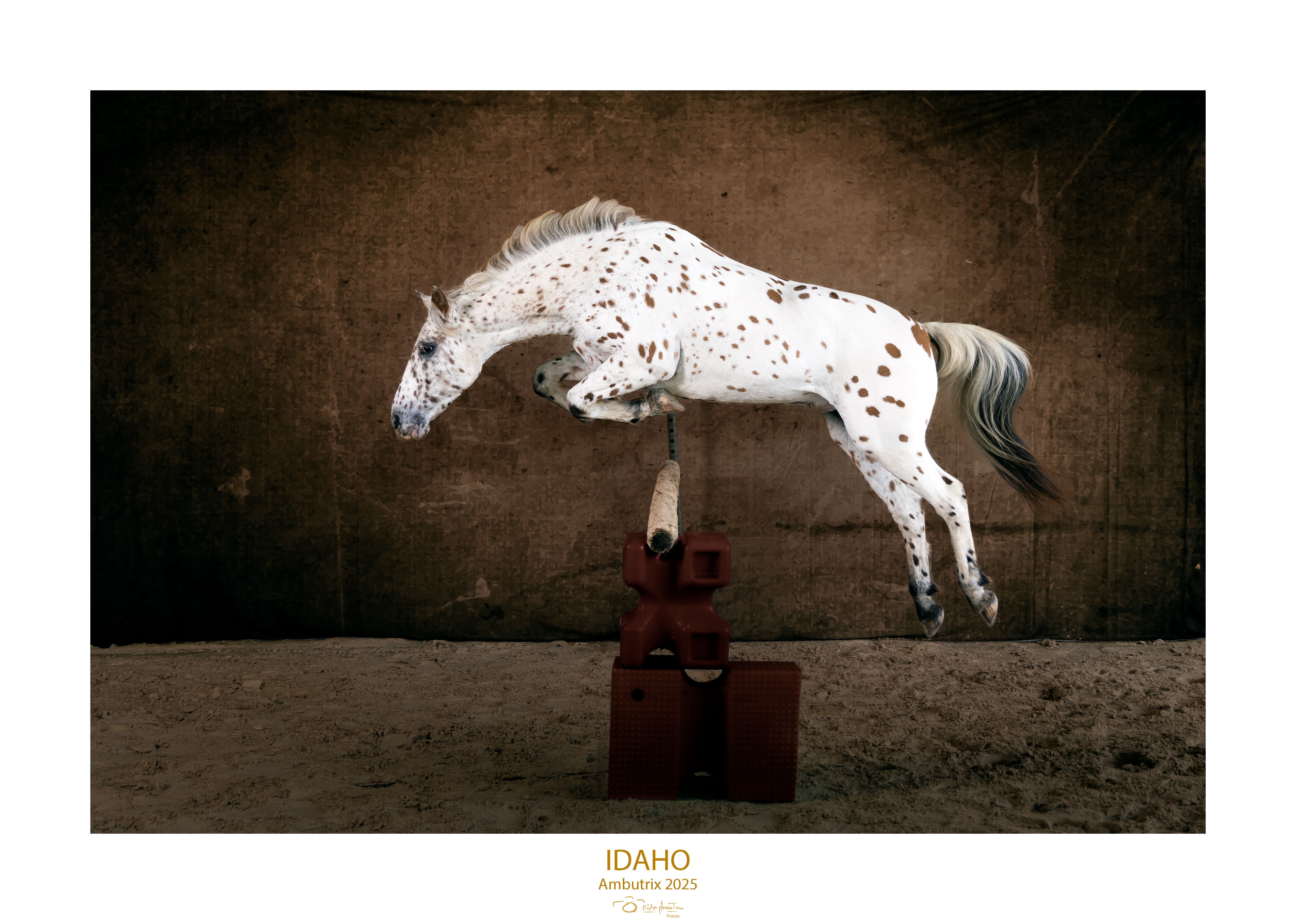 20251006 jipi9777 idaho saut en liberte 1 cr plus claire et plots propres cadre large