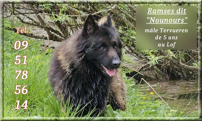 Nounours-2-pos-t