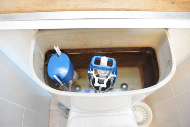 Istockphoto-1292095730-612x612