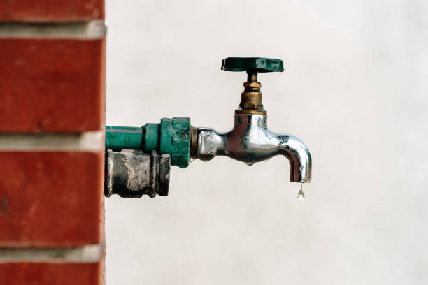 Istockphoto-1413618921-612x612