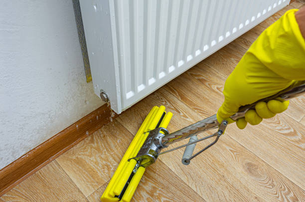Istockphoto-1425475951-612x612