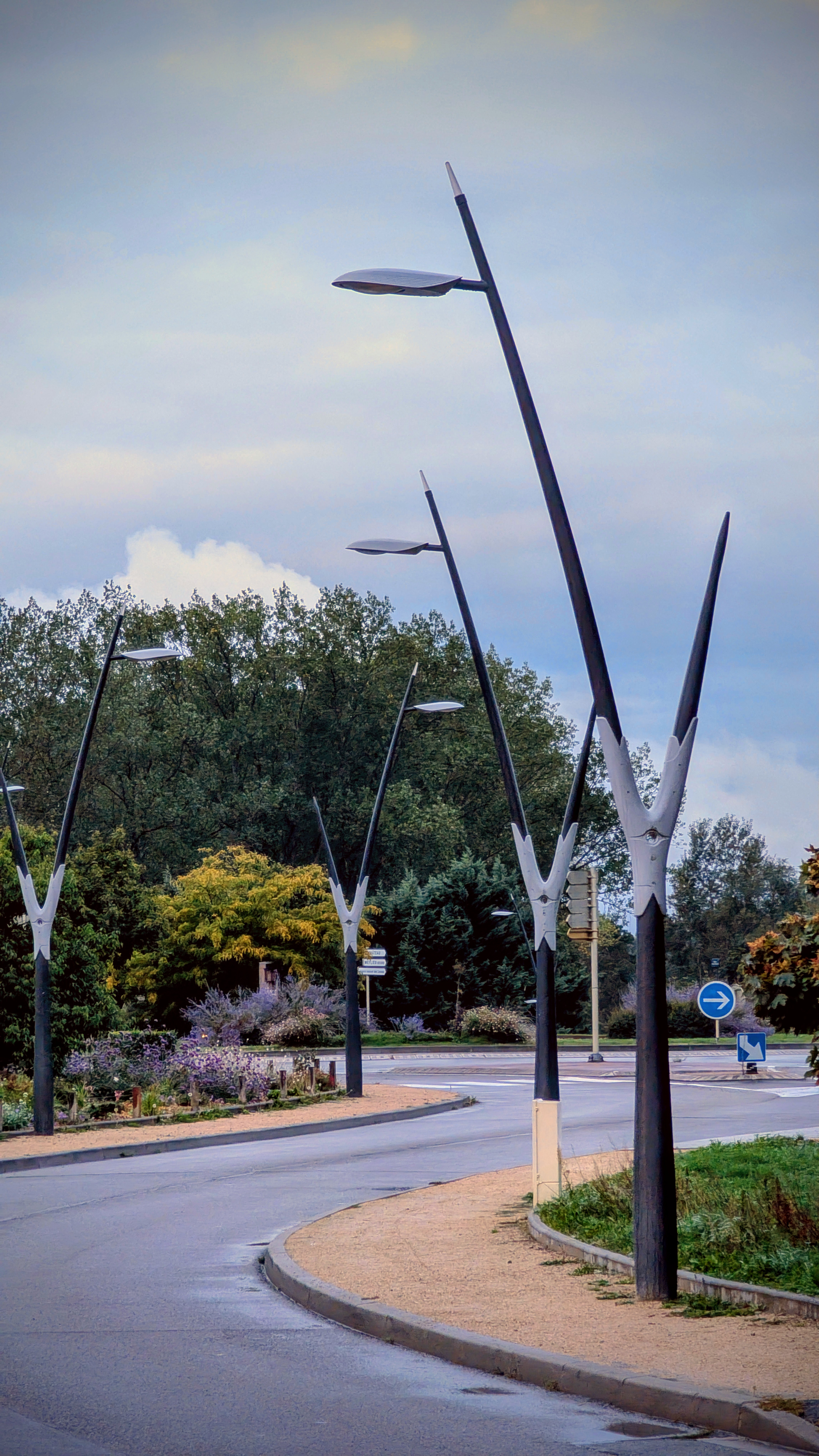 Pxl 20250925 052206606 night raw 01 cover 2