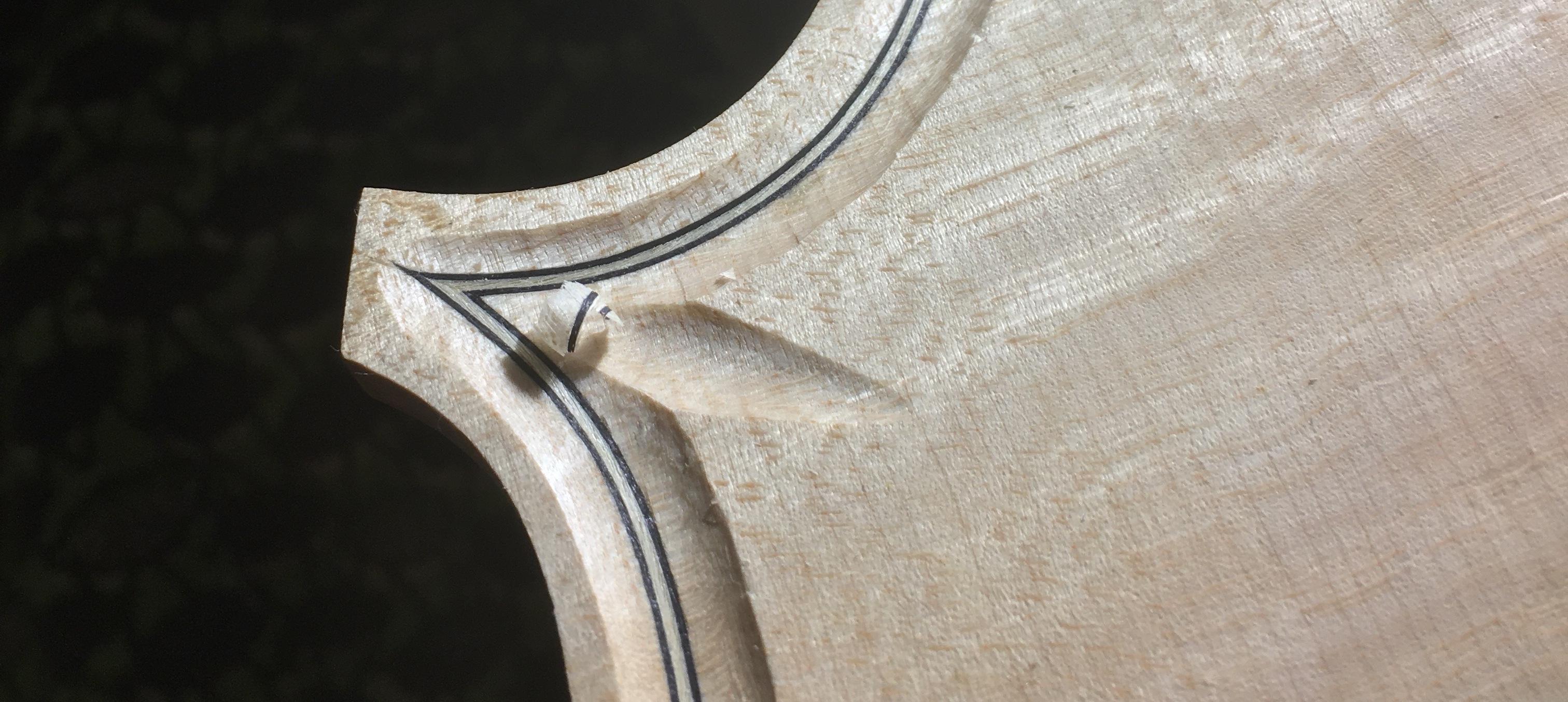 amandine-hervouet-lutherie-bandeau-biographie-biografia