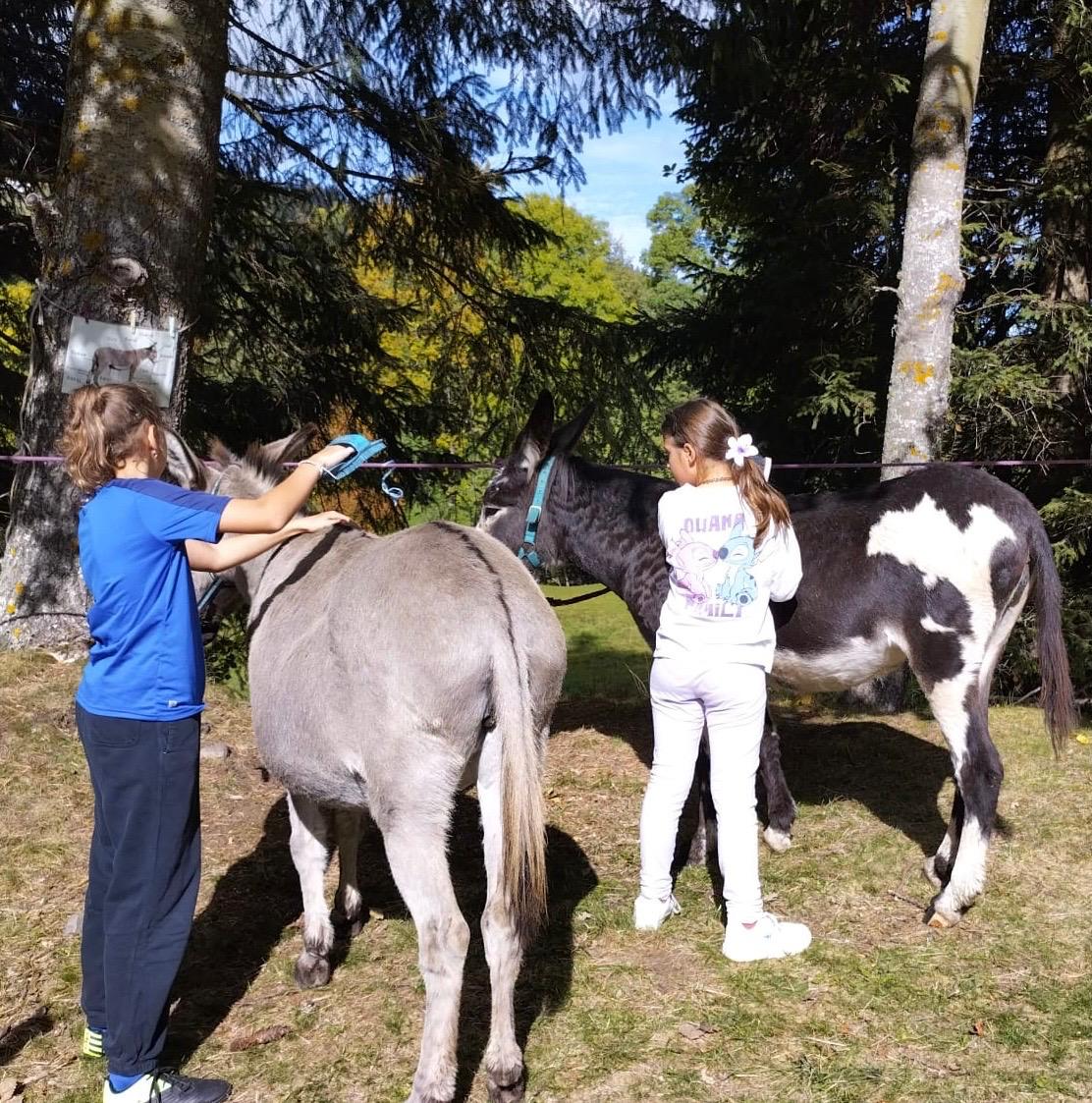 Whatsapp image 2025 10 11 at 12 59 274