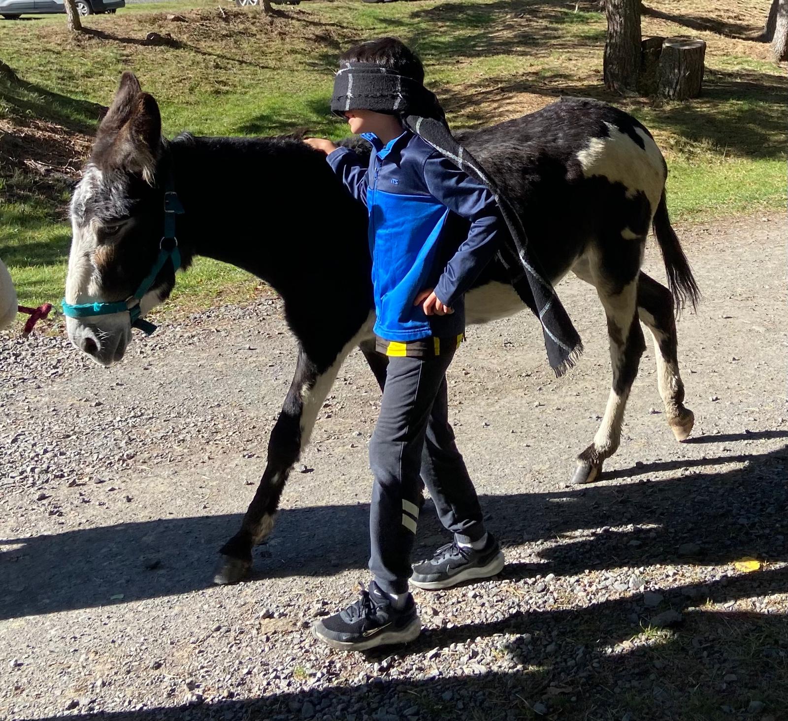 Whatsapp image 2025 10 11 at 12 59 272