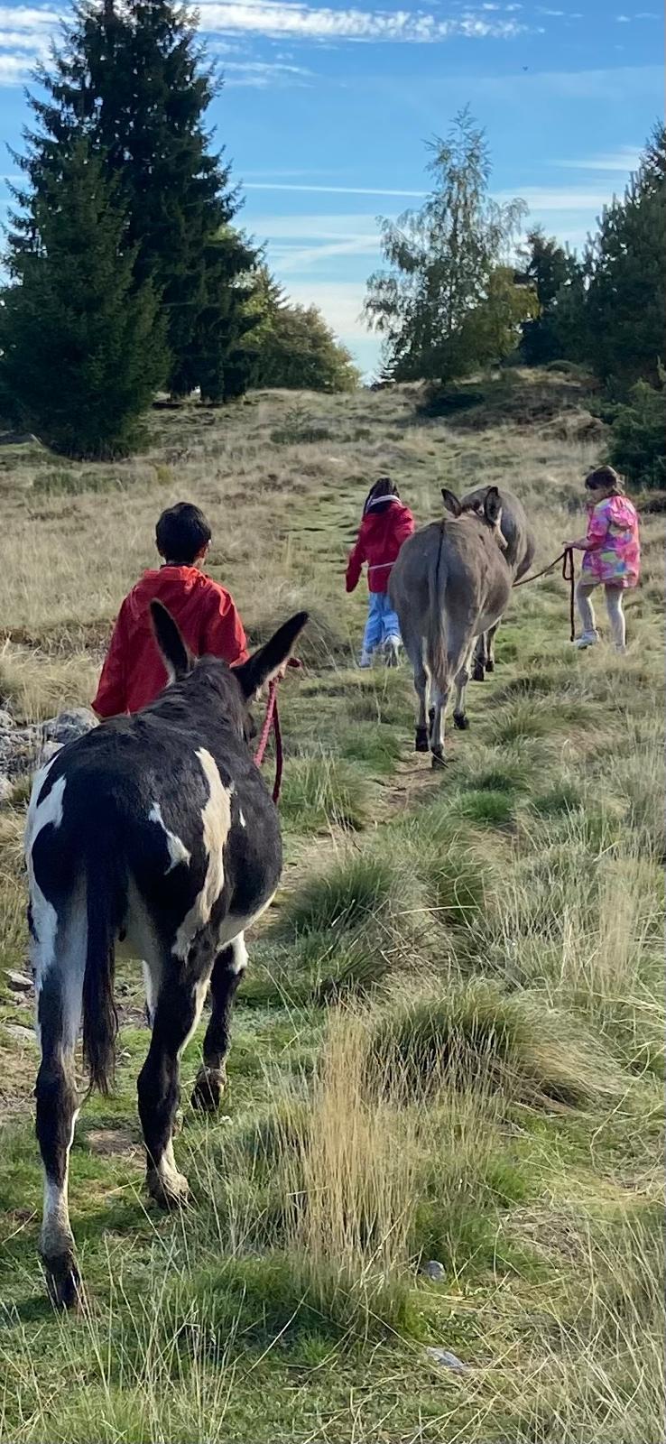 Whatsapp image 2025 10 11 at 12 59 271