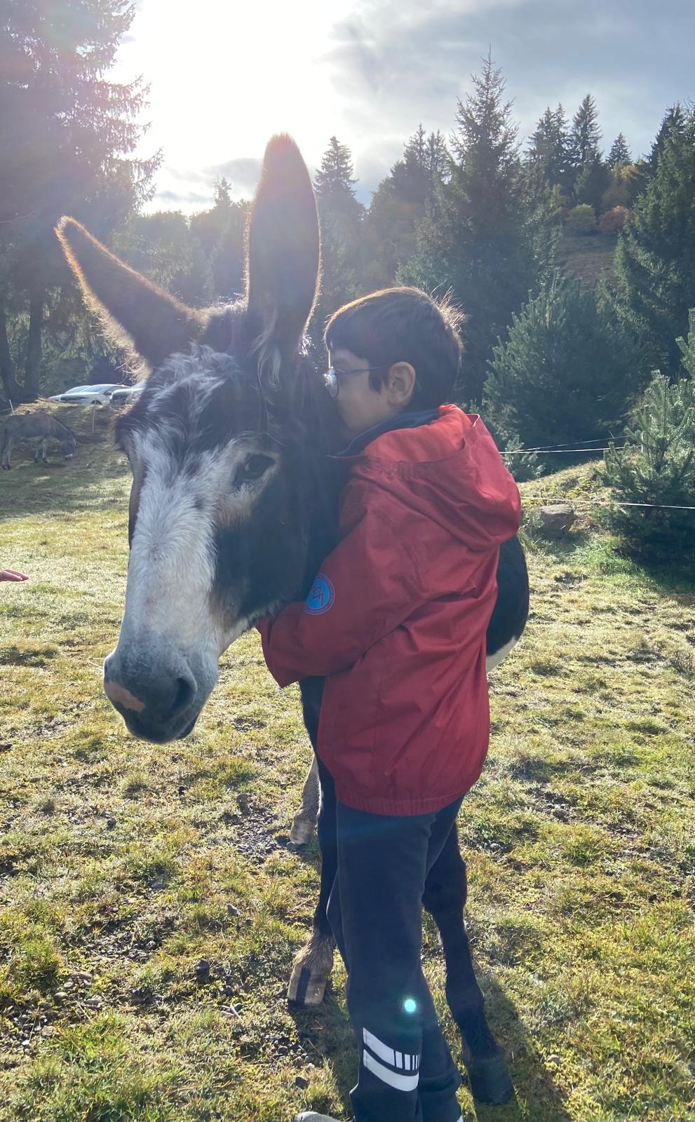 Whatsapp image 2025 10 11 at 12 59 27