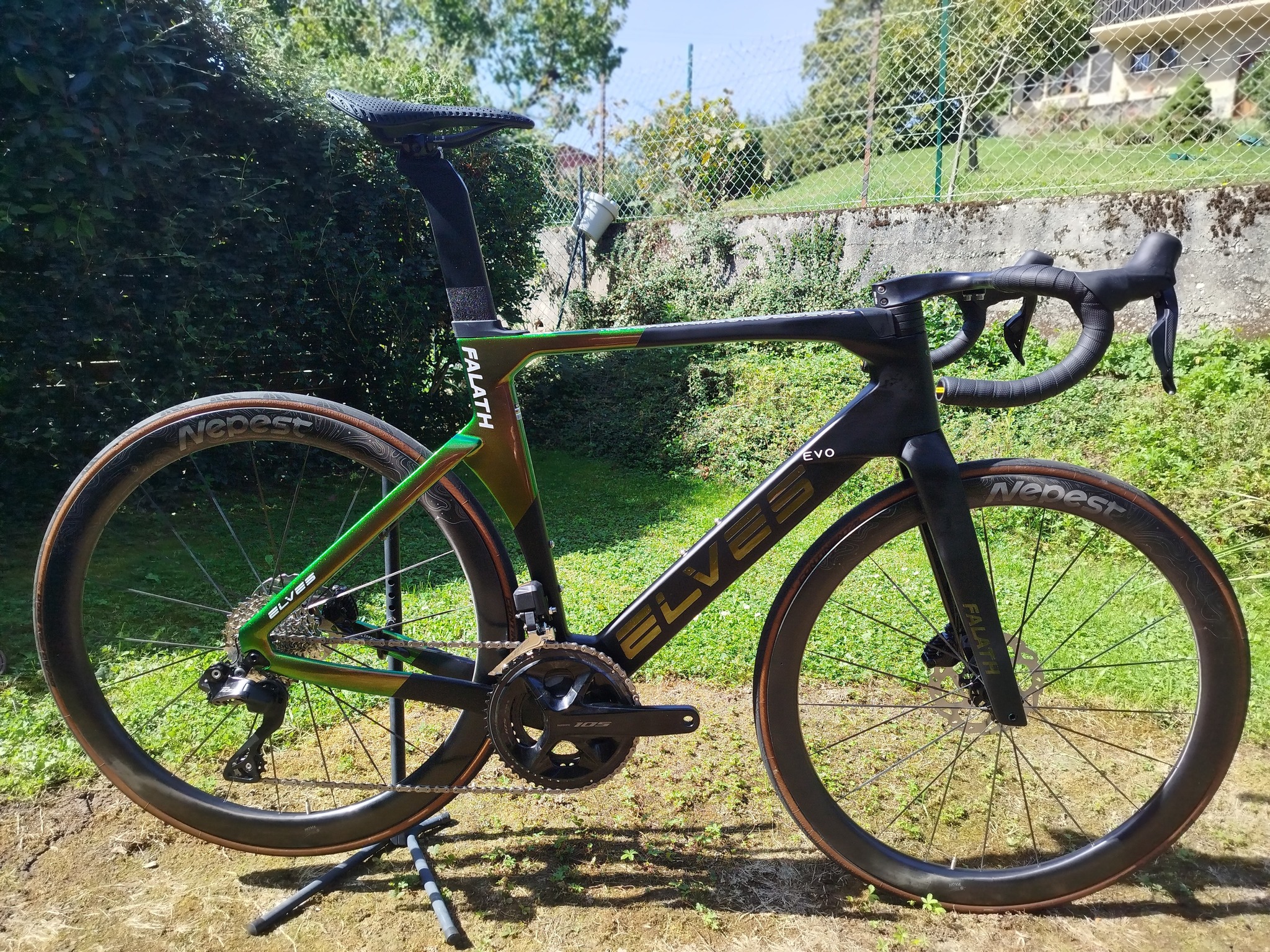 548130708 1594129195280564 131854557880142779 n