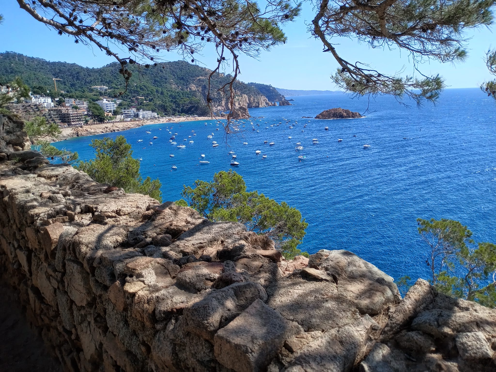 Whatsapp image 2025 10 03 a 13 09 08 7ee75c77