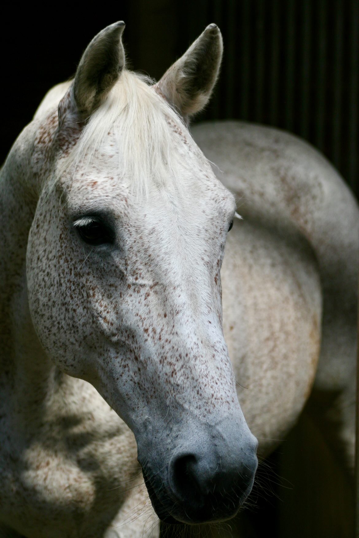 557604838 831825936210135 6148235630407345986 n