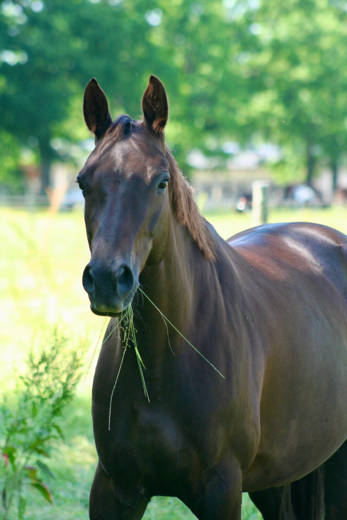 558046221 815846650828977 9009182111538496646 n