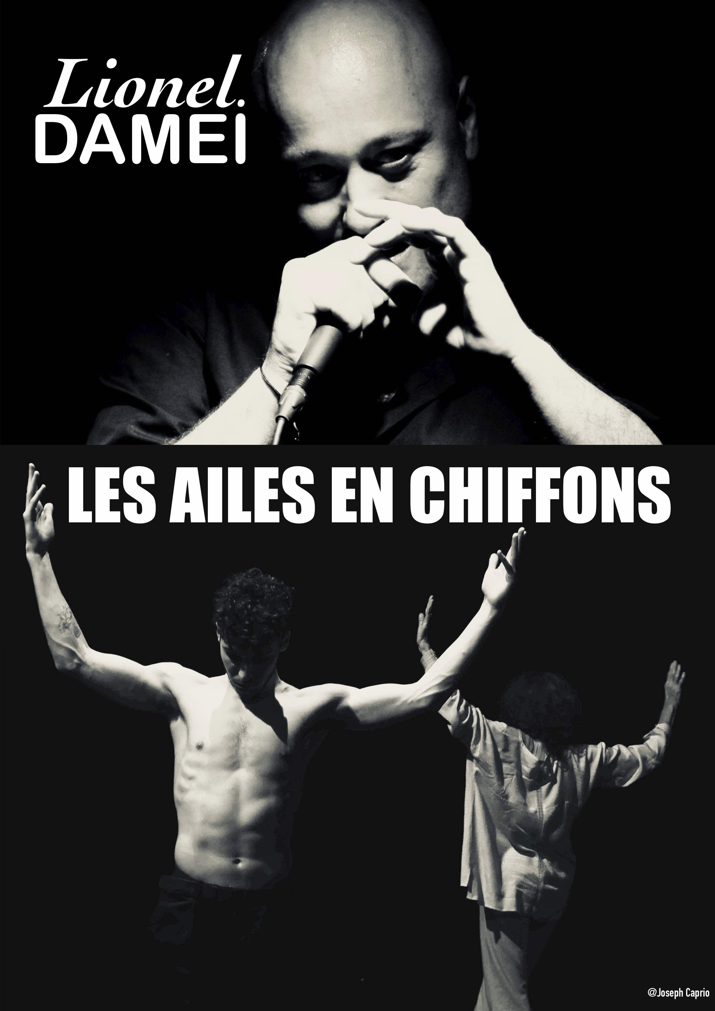  Lionel DAMEI a fêté ses 40 ans de chansons en mouvement