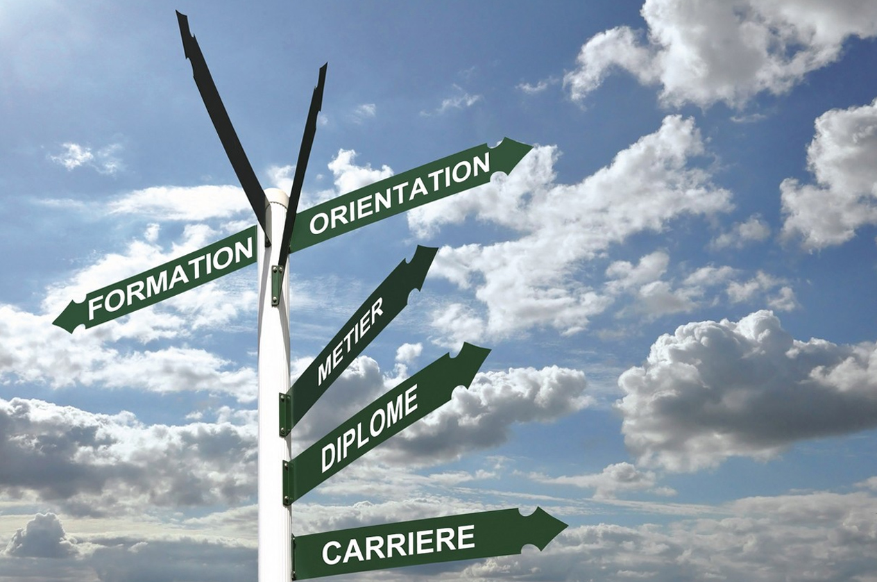 Orientation