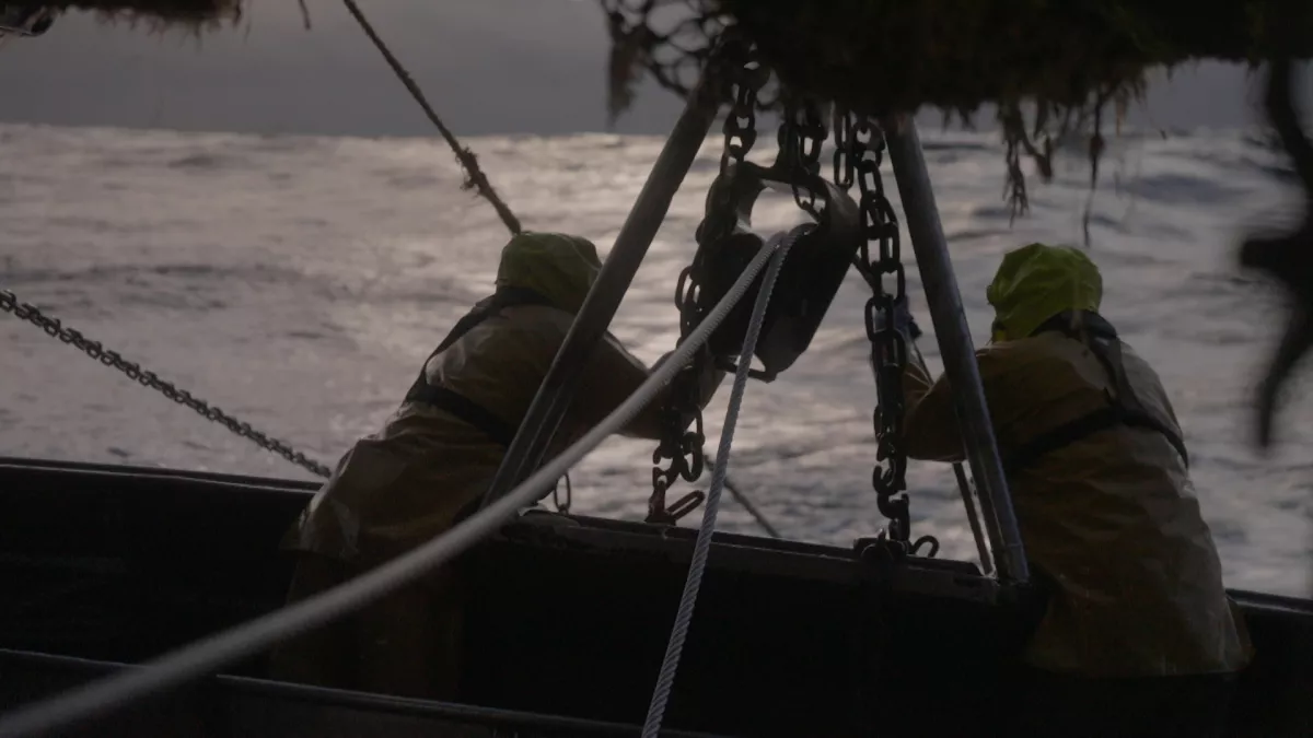 -aligal chaluts-en-pe-ril 01-jpg