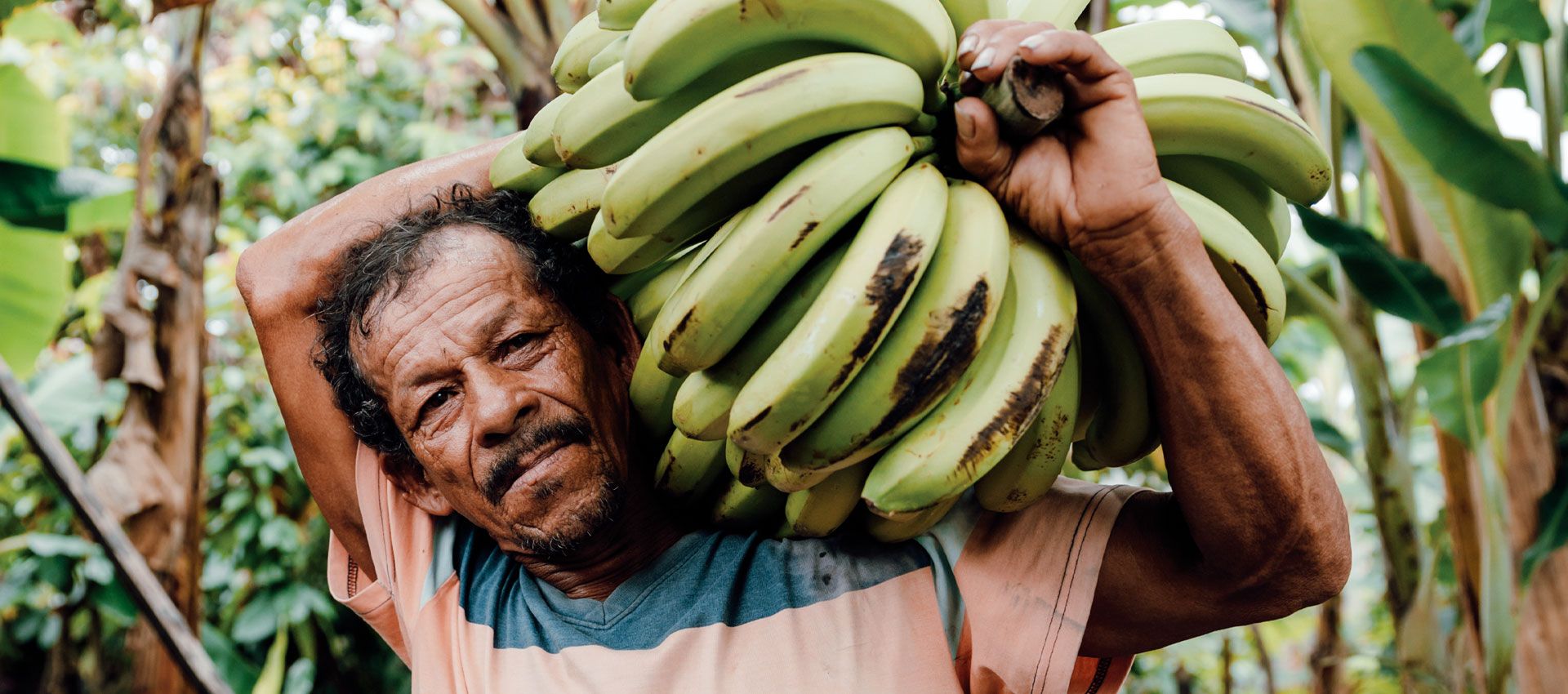 1920x850 les-maux-de-notre-alimentation