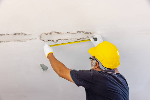 Istockphoto-2158664572-612x612